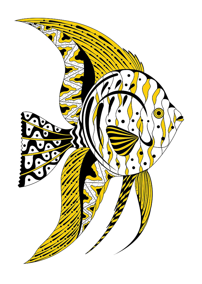 Zenart Fish Illustration