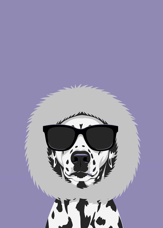 Dalmatian Dog Wearing Sunglasses and Fur Hood