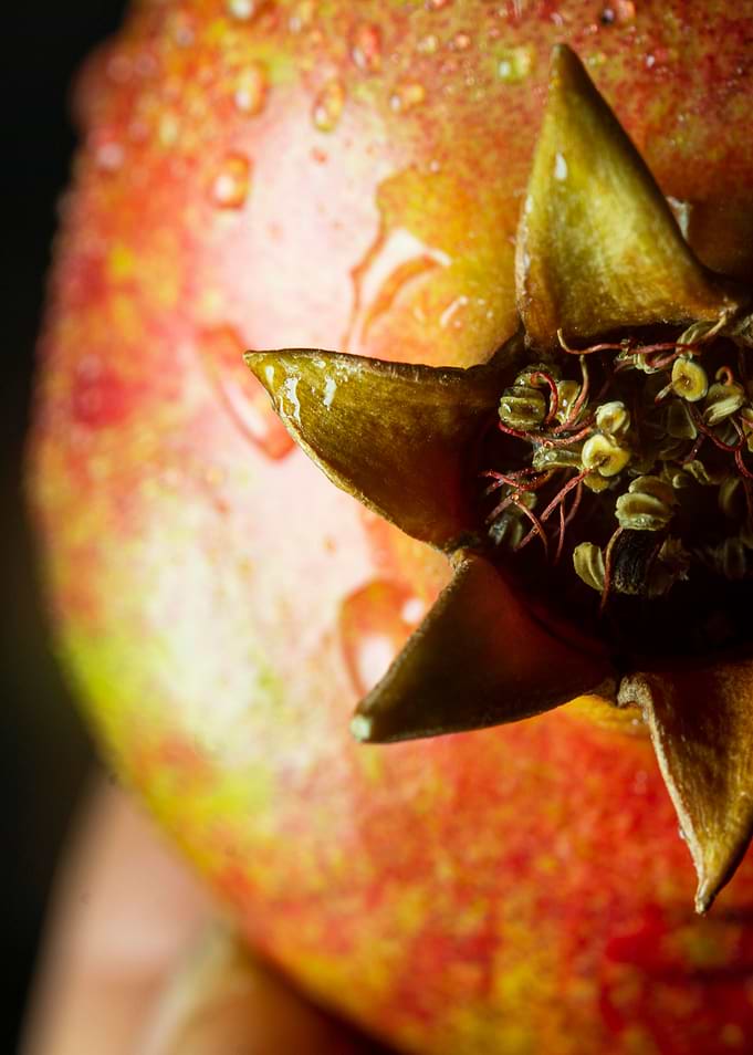 Close-up of a Pomegranate with Water Droplets