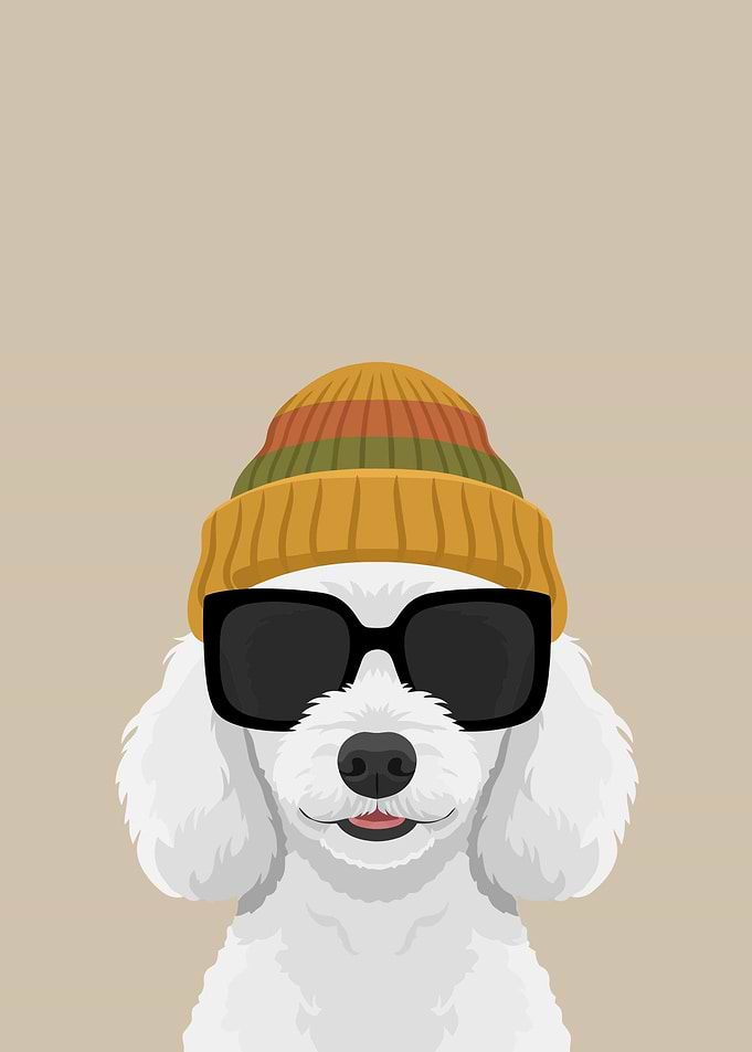 Cool Dog Wearing Sunglasses and Beanie