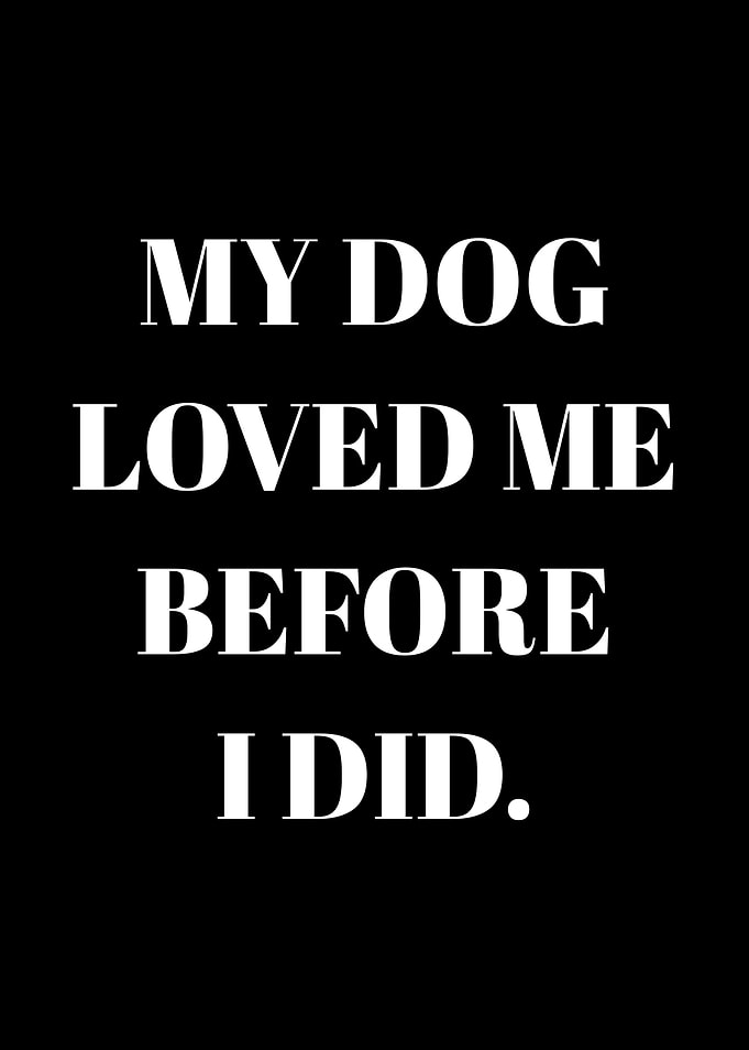 My Dog Loved Me Before I Did