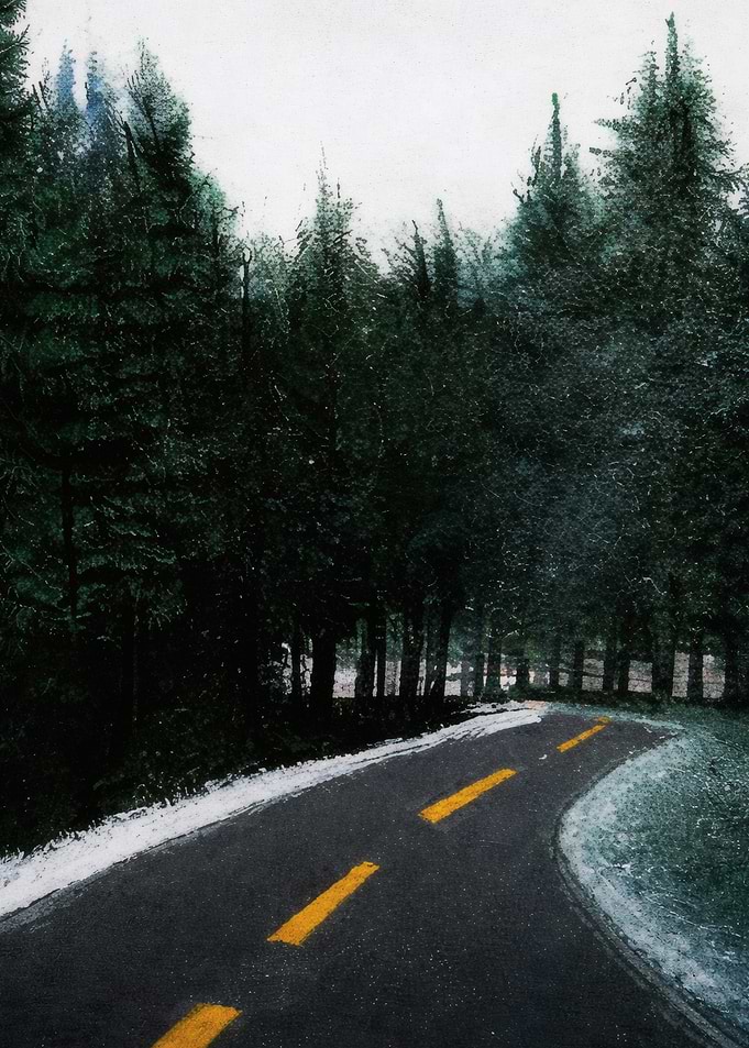 Road Through a Dark Forest