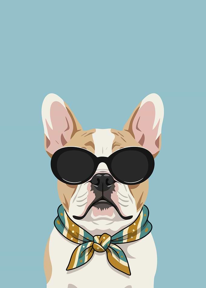 French Bulldog Wearing Sunglasses and Scarf