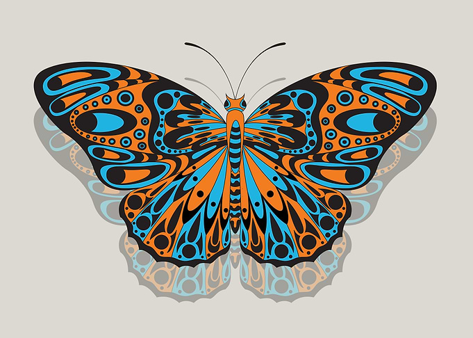 Stylized Zenatr Butterfly