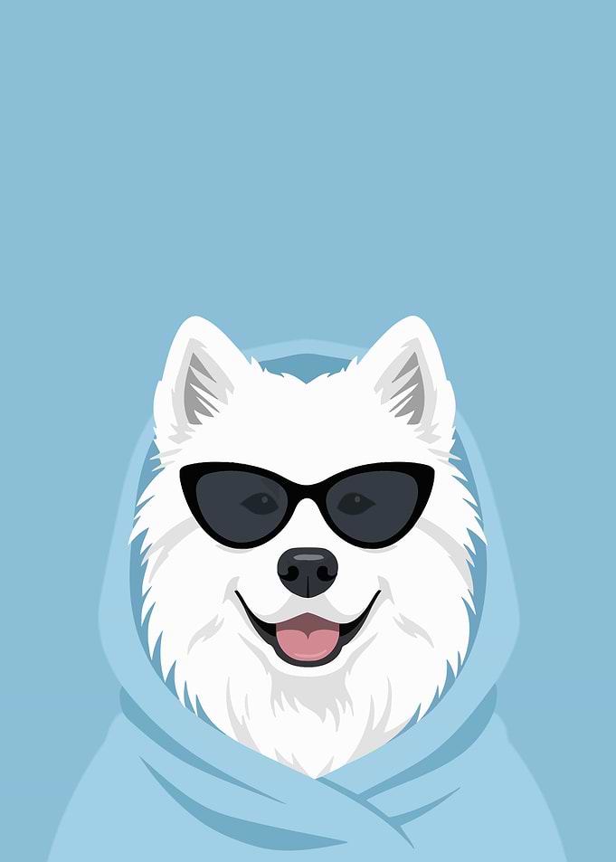 Cool Dog Wearing Sunglasses