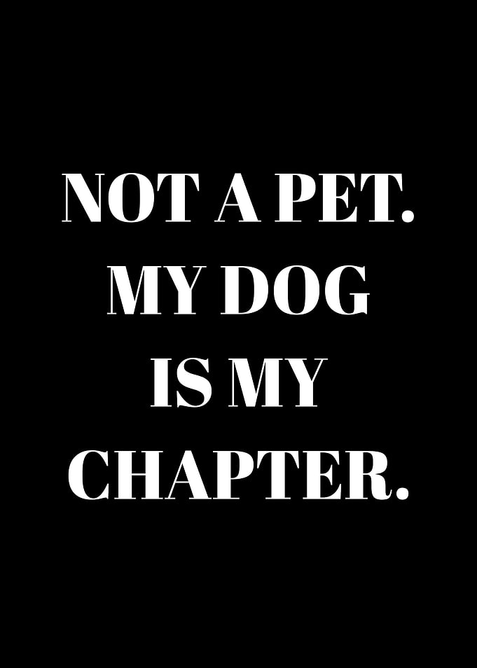My Dog Is My Chapter Text Art