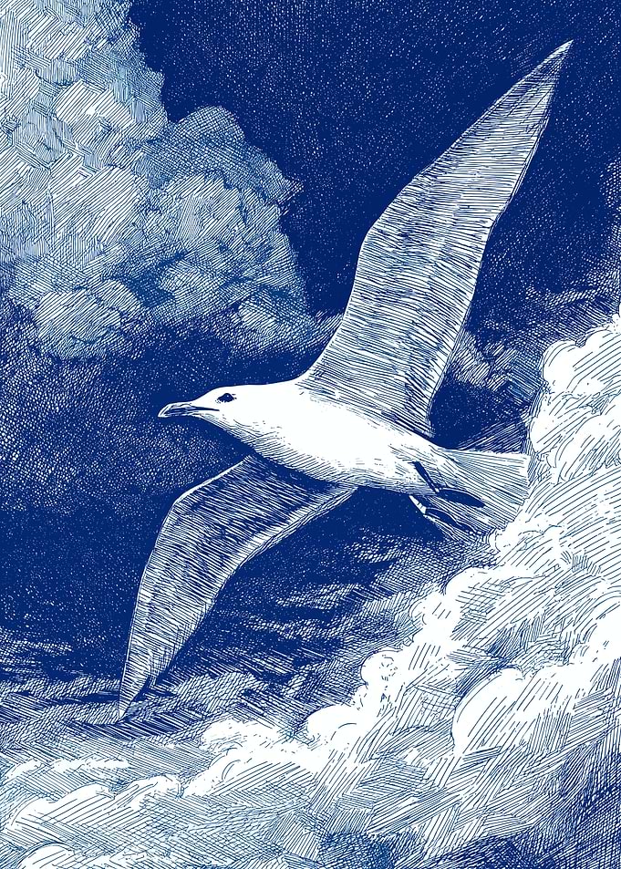 Seagull flying through clouds