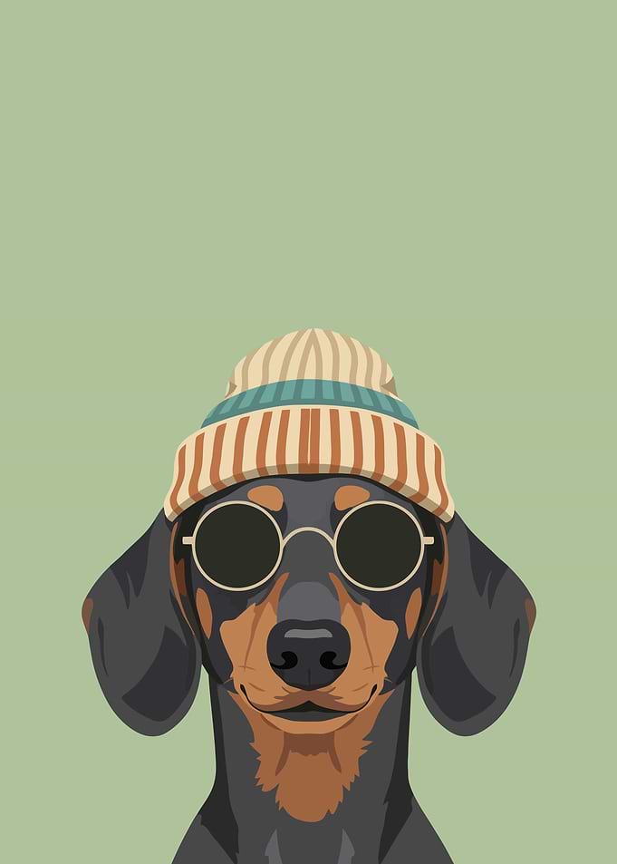 Dachshund Wearing Beanie and Sunglasses