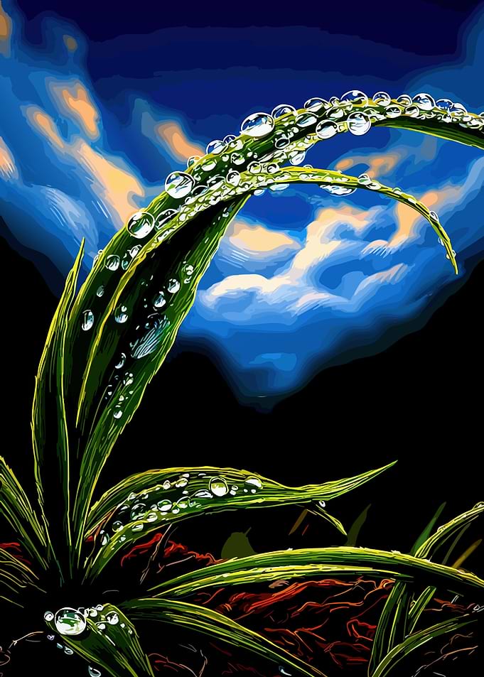 Dewdrops on Grass Blades