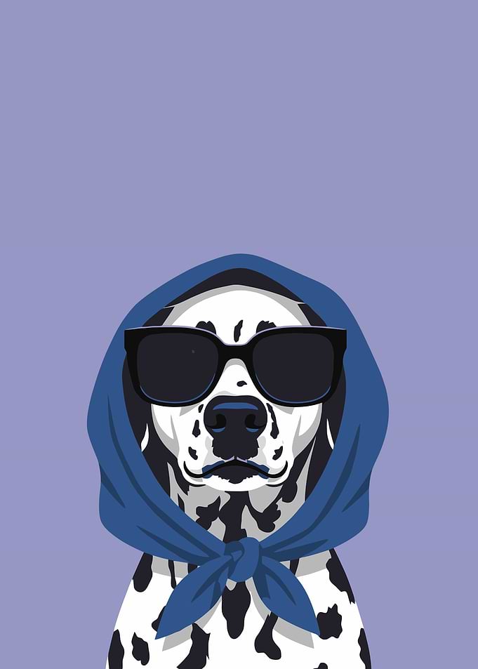 Dalmatian Dog Wearing Sunglasses and Scarf