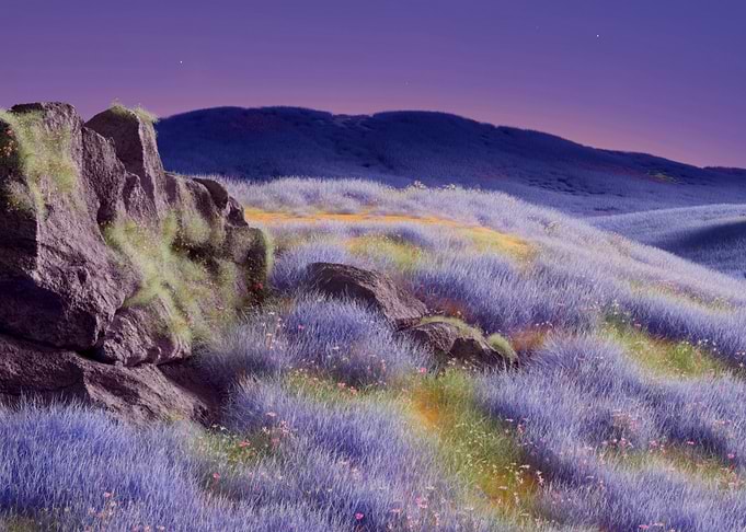 Dreamy Lavender Field Landscape