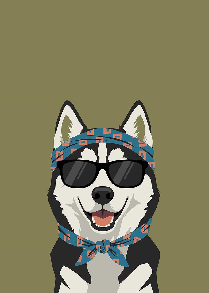 Cool Husky Dog with Bandana and Sunglasses