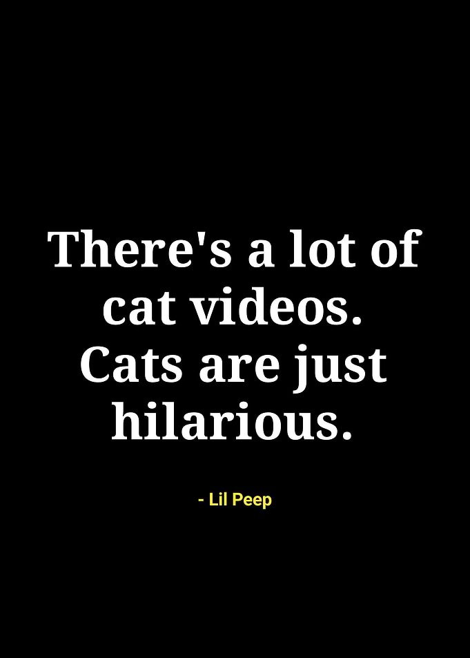 Lil Peep quote about cats