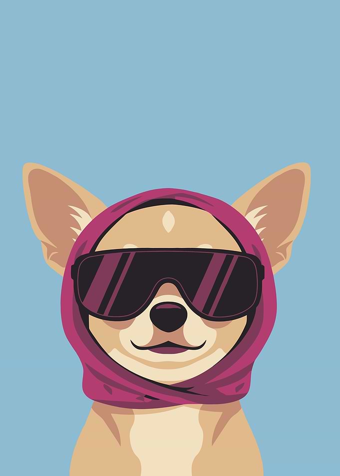 Chihuahua Dog Wearing Sunglasses and Scarf