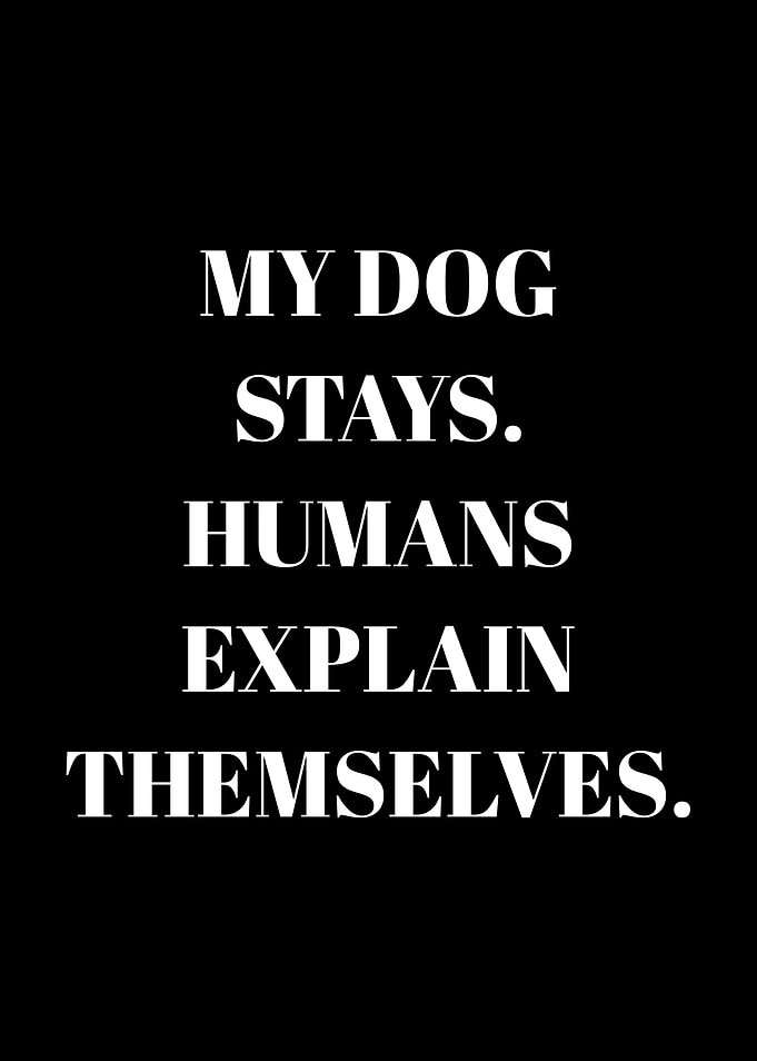 My Dog Stays Humans Explain Themselves