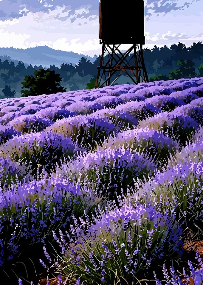 Lavender Field with Water Tower
