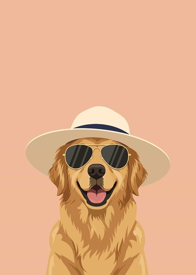 Golden Retriever Dog Wearing Sunglasses and Hat