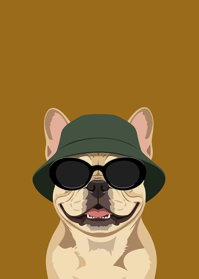 French Bulldog Wearing Sunglasses and Hat