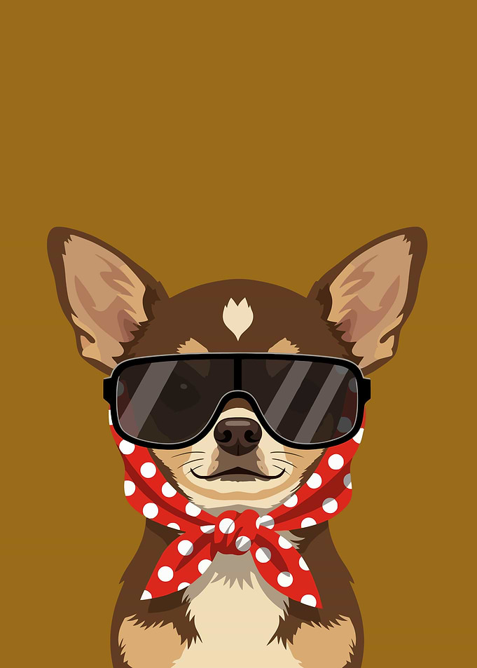 Chihuahua Dog Wearing Sunglasses and Scarf