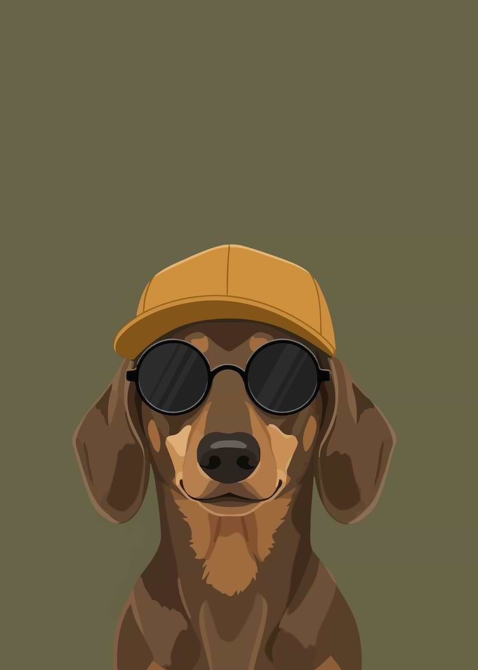 Dachshund Wearing Sunglasses and Cap