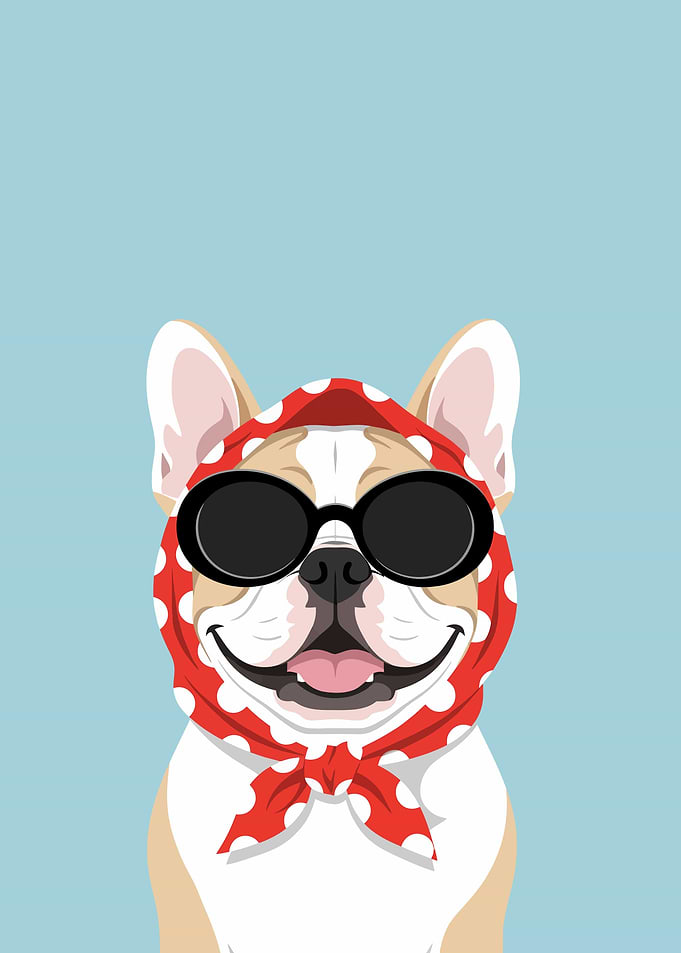 French Bulldog Wearing Scarf and Sunglasses