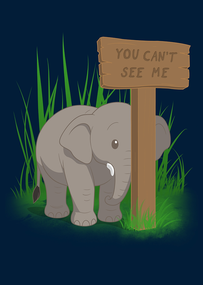 You Can't See Me