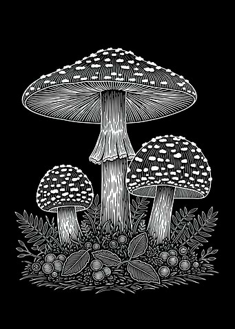 Black and White Mushroom Illustration