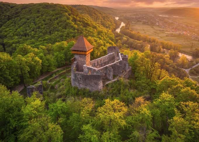 Ancient Castle Ruins in Lush Forest