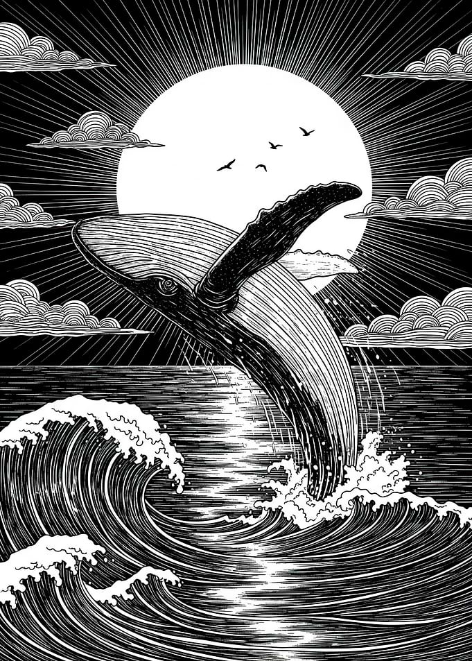 Whale breaching in front of the sun