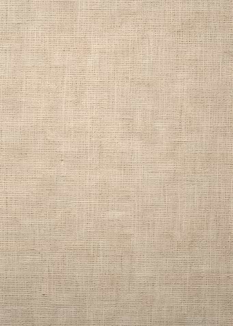 Textured Beige Fabric Background
