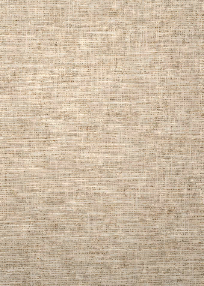 Textured Beige Fabric Background