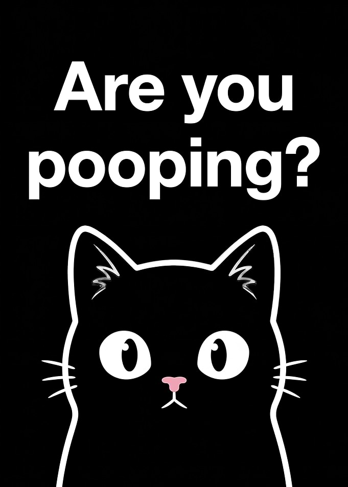 Black Cat Asks 'Are You Pooping?'
