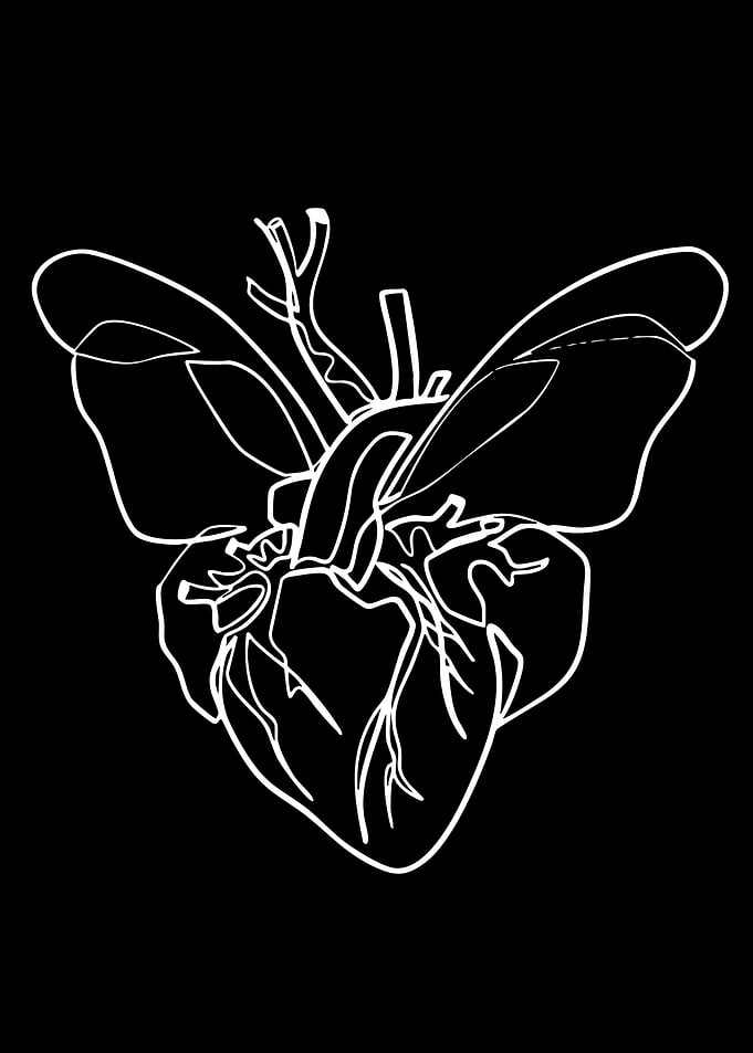 Heart with Butterfly Wings