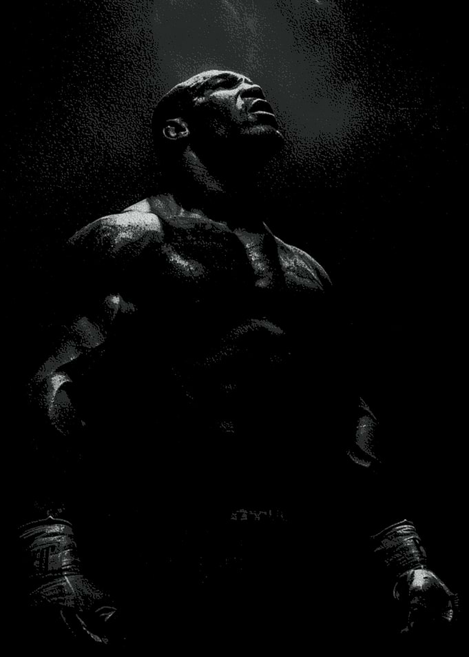 Boxer Looking Up in Dramatic Lighting