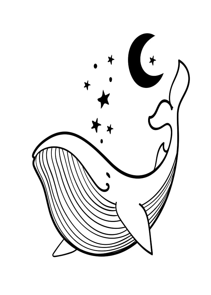 Whale and Moon Illustration