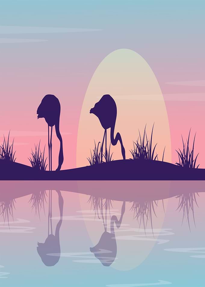 Flamingos Silhouetted at Sunset