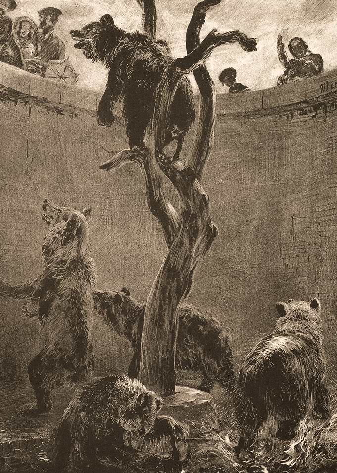 Bears in a Zoo Enclosure