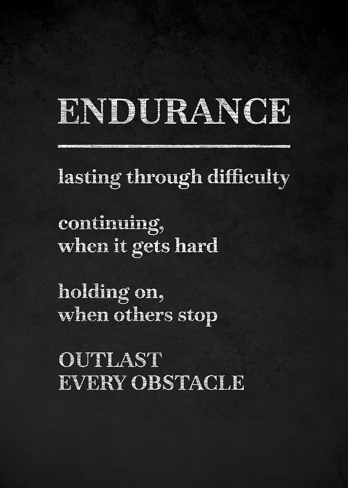 Endurance definition poster