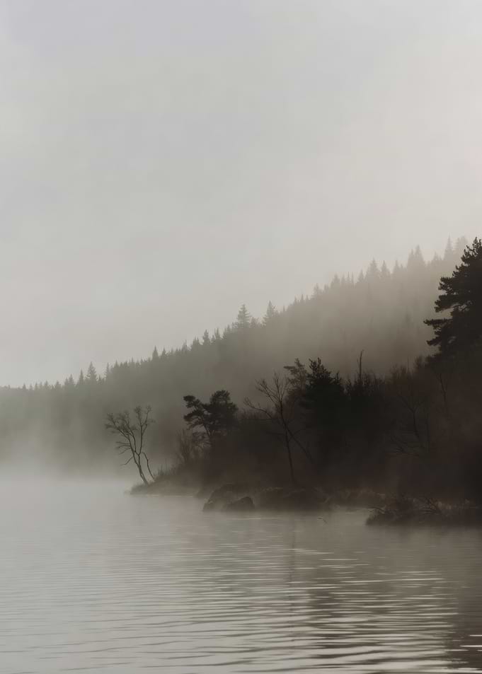 Misty Forest Lake Shoreline