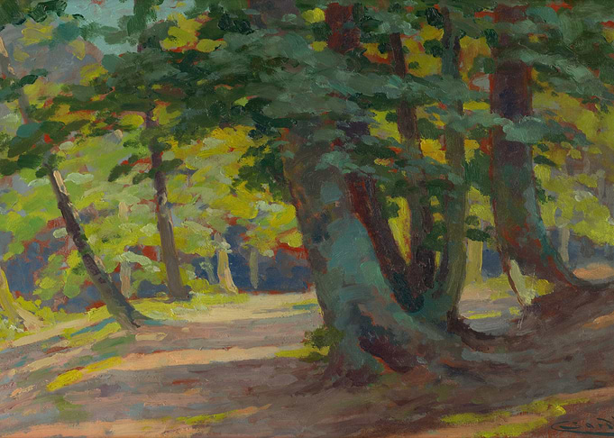 Sunlit Forest Path