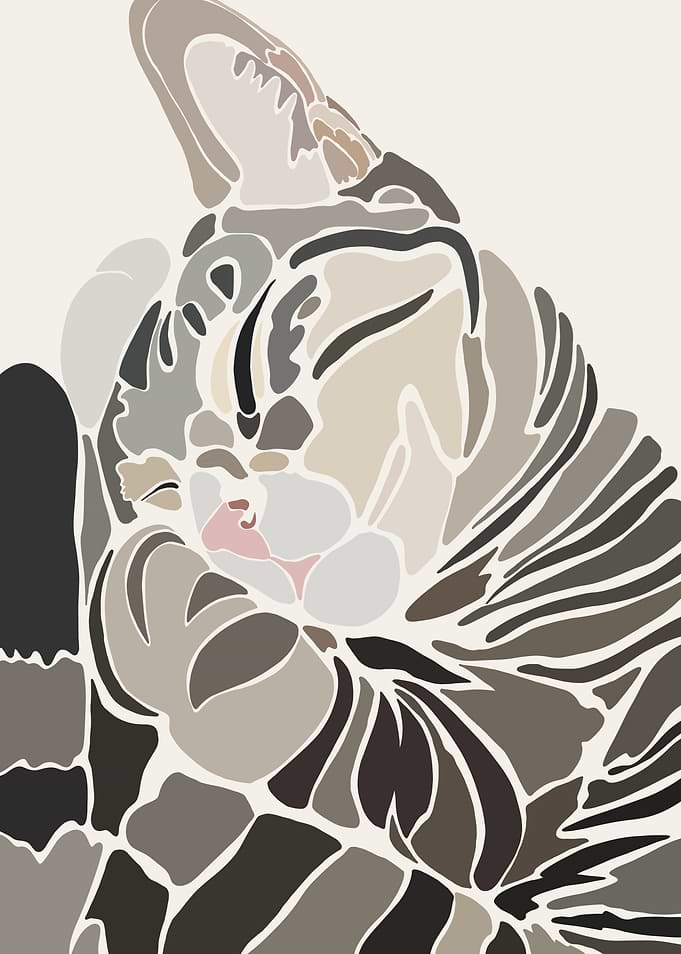 Abstract Cat Portrait
