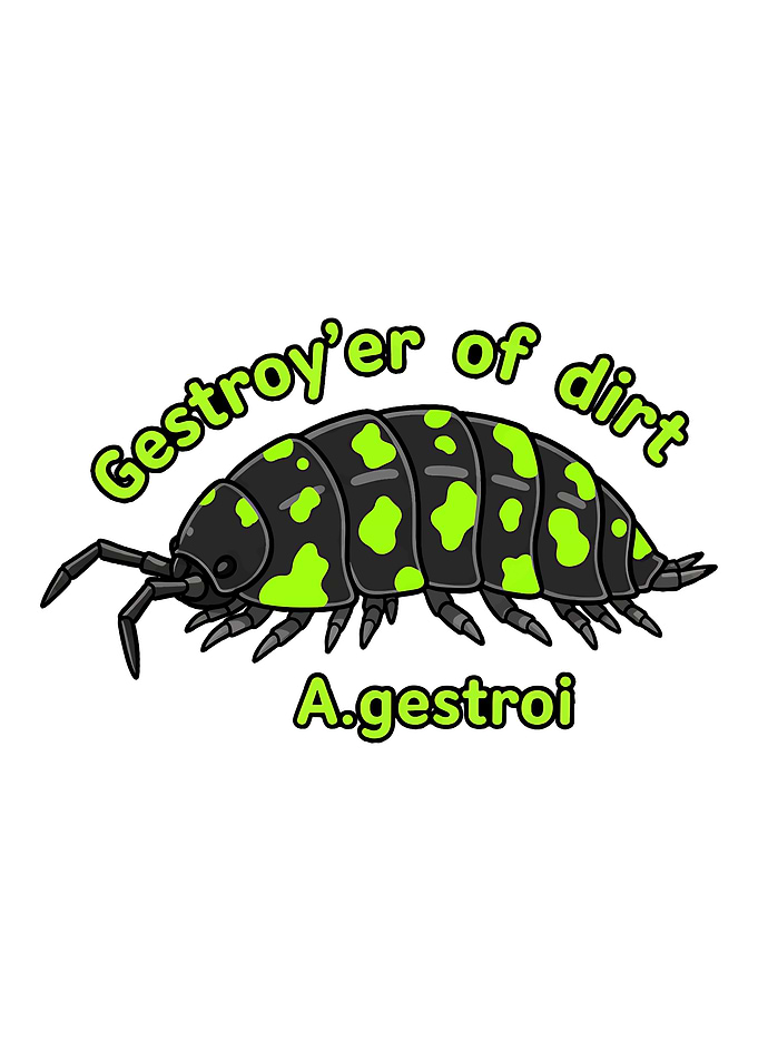 A. gestroi isopod cartoon