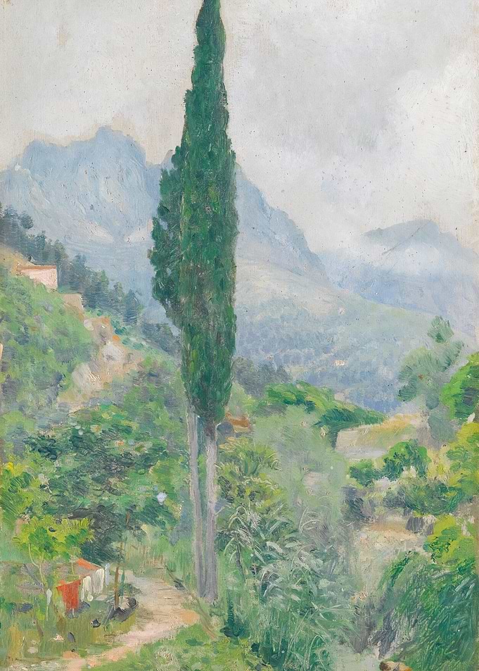 Italian Cypress Tree in a Mountain Landscape