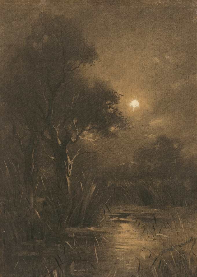 Moonlit Marsh Landscape