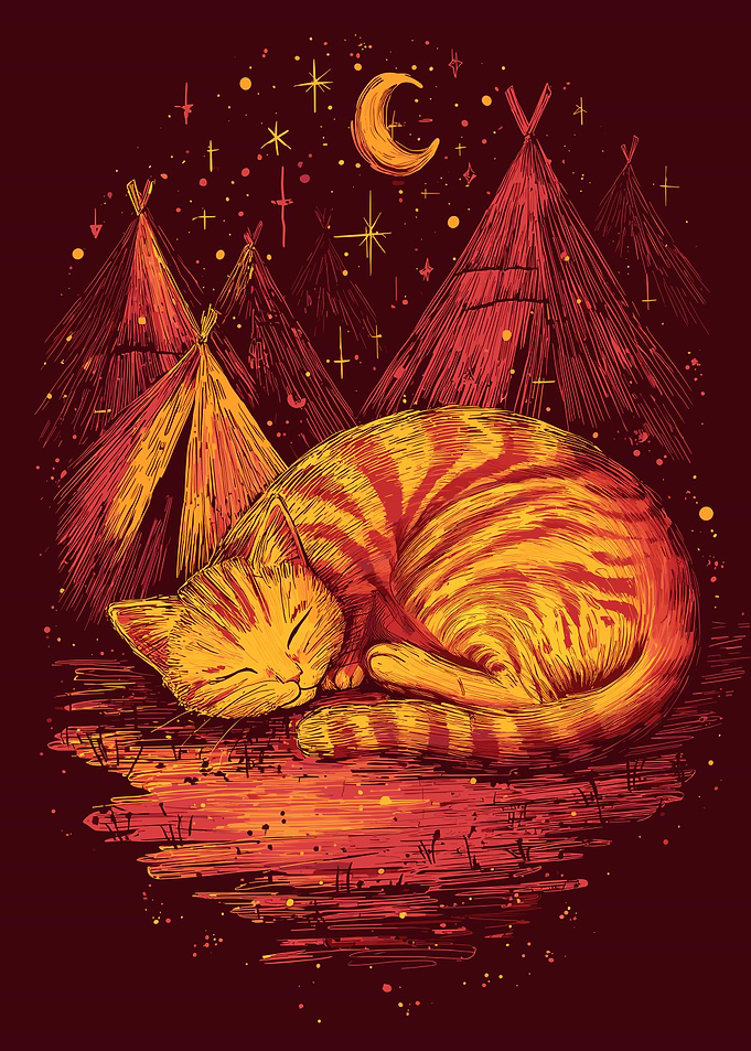 Sleeping Cat in a Teepee Camp