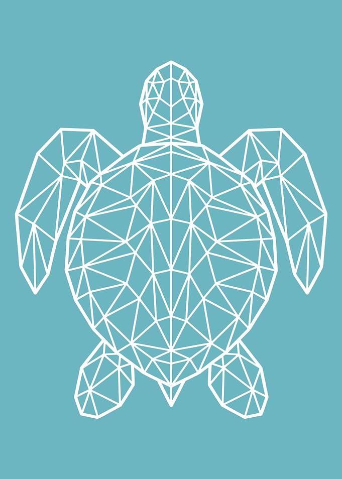 Geometric Sea Turtle Outline