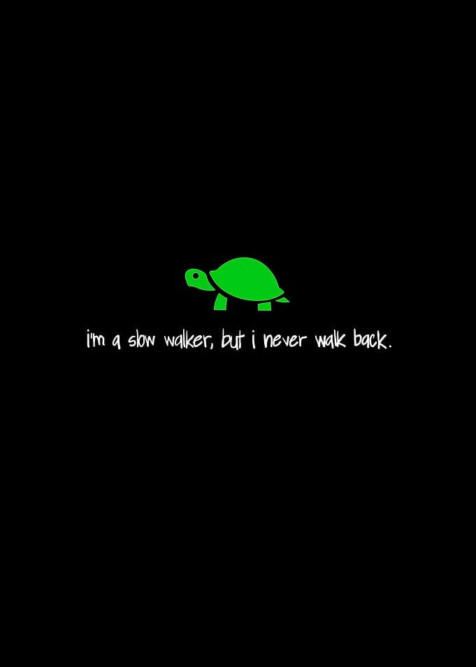 Green Turtle with Inspirational Text