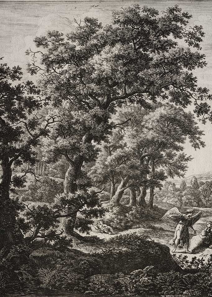 Angelic figure in a forest landscape