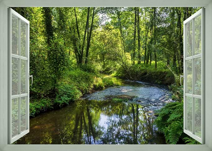 Forest Stream Through Open Window