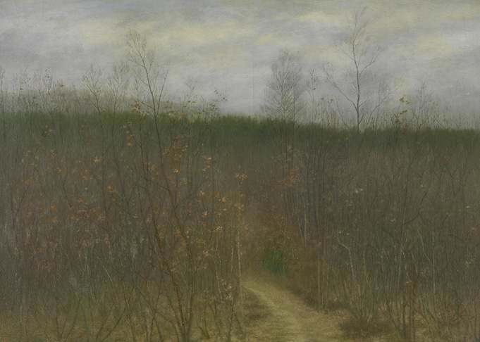 Misty Forest Path